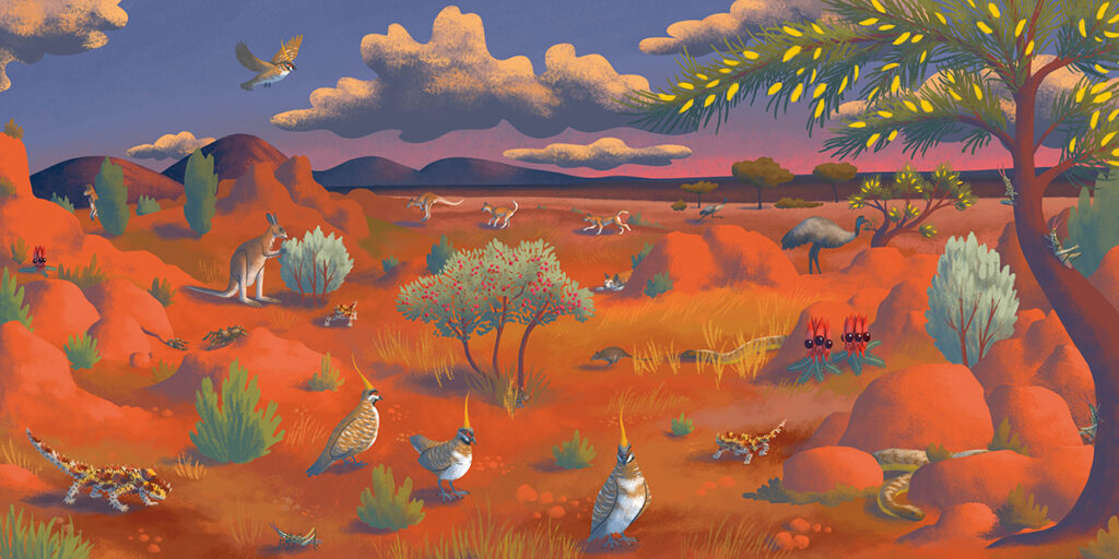 1-Wapiti-cherche-et-trouve_Desert-australien