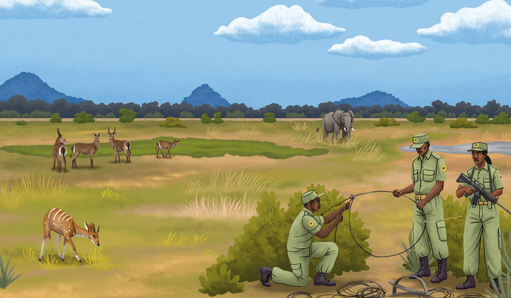 8-Wapiti-Temp-long_Parc_gorongosa