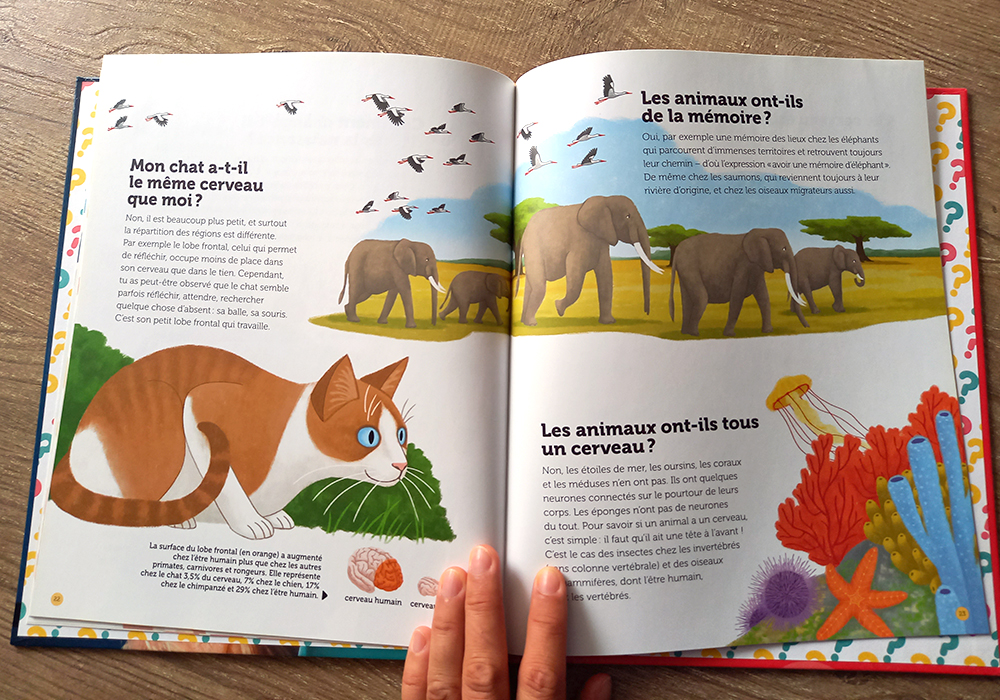 10-documentaire-livre-le_cerveau-animaux