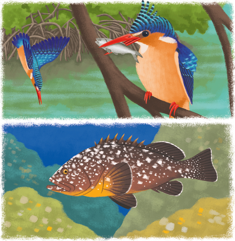 13-Youpi_animaux-marins