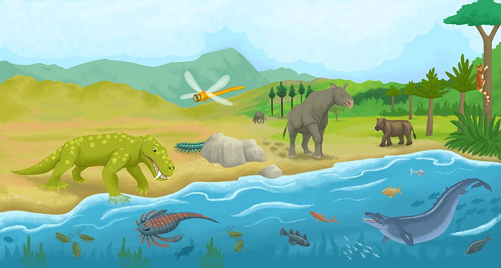 3-livre-dinosaures-specificites