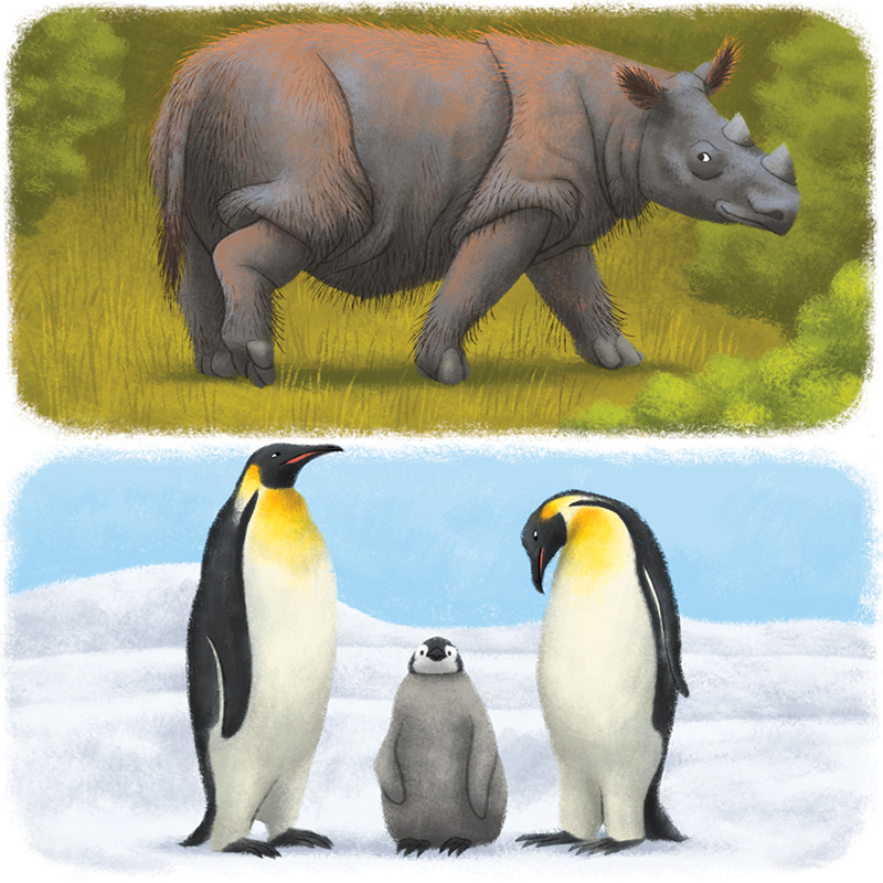4-Youpi_animaux-du-monde