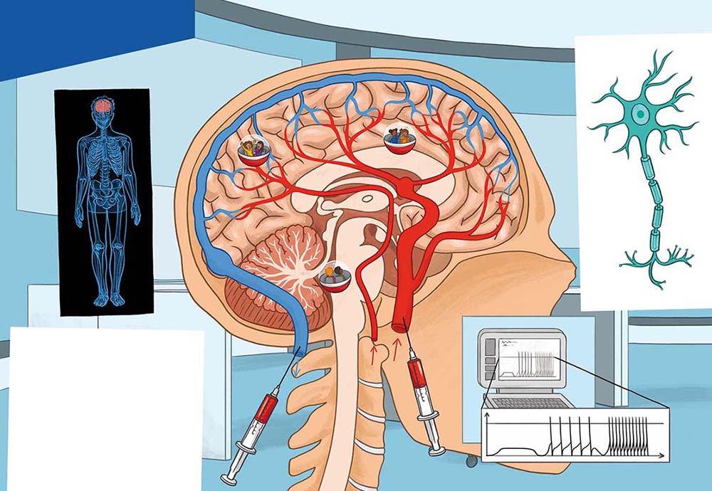 4-escape-game-biologie-corps-humain_cerveau