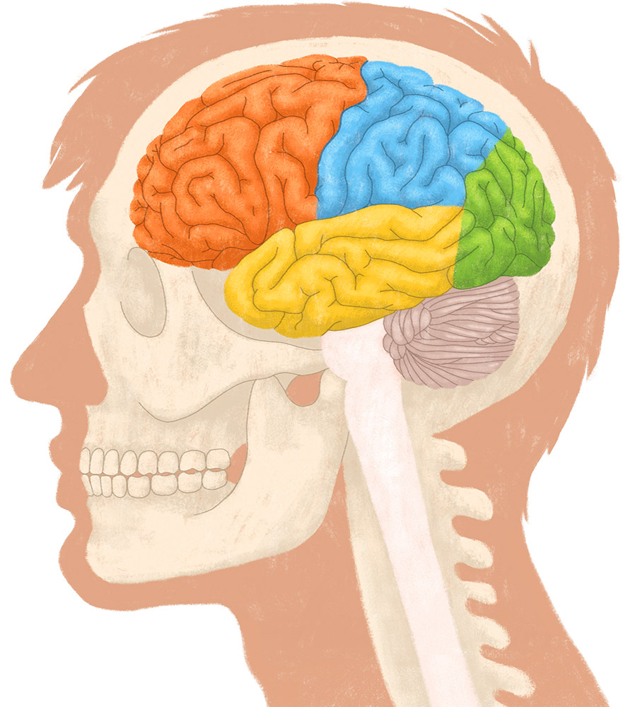 5-documentaire-livre-le_cerveau
