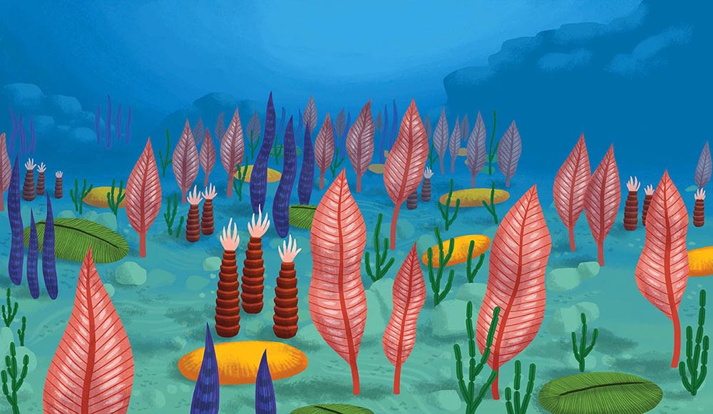 5-documentaire-livre-terre-vie-univers-plantes
