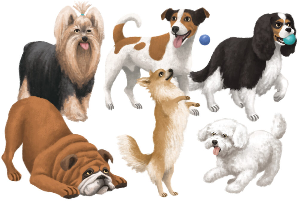6-Chiens-compagnie