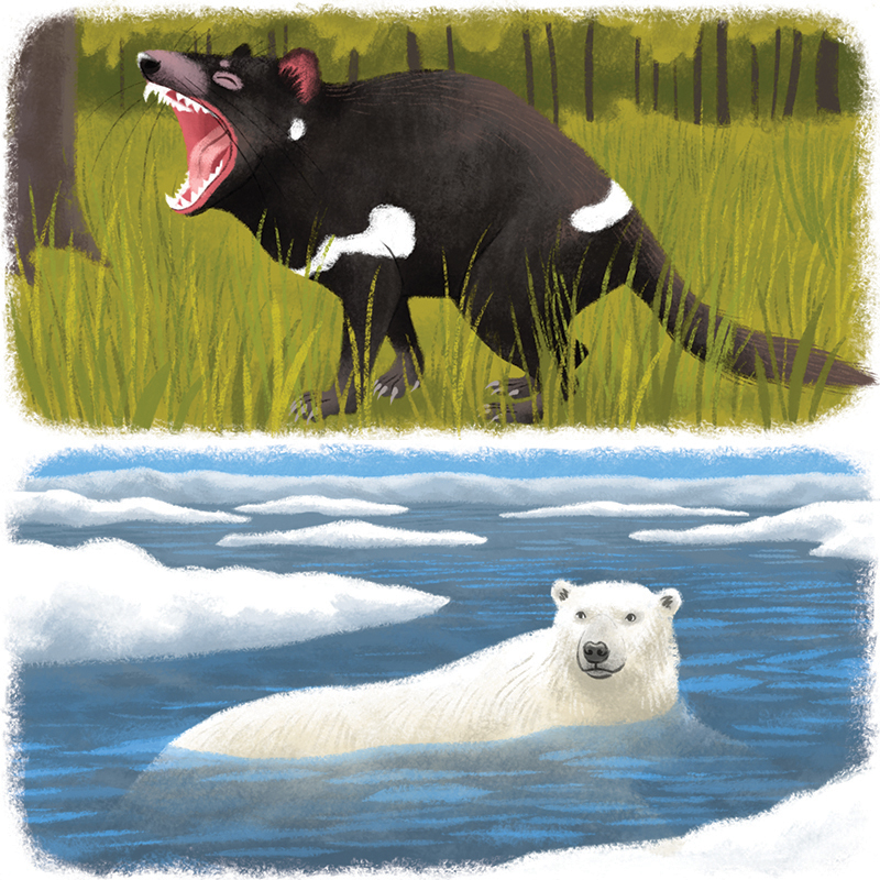 6-Youpi_animaux-du-monde