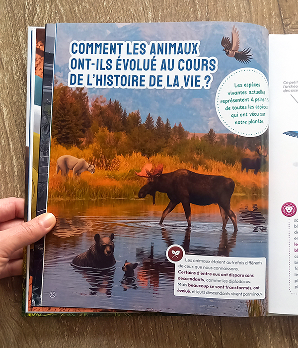 7-documentaire-livre-terre-vie-univers-animaux