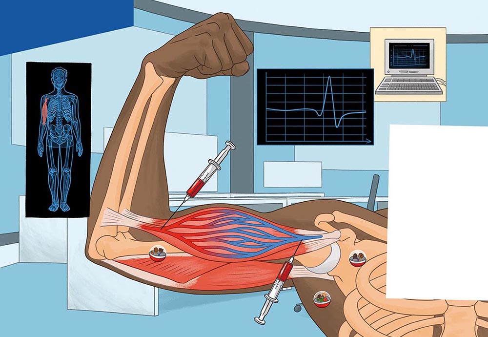 7-escape-game-biologie-corps-humain_muscles