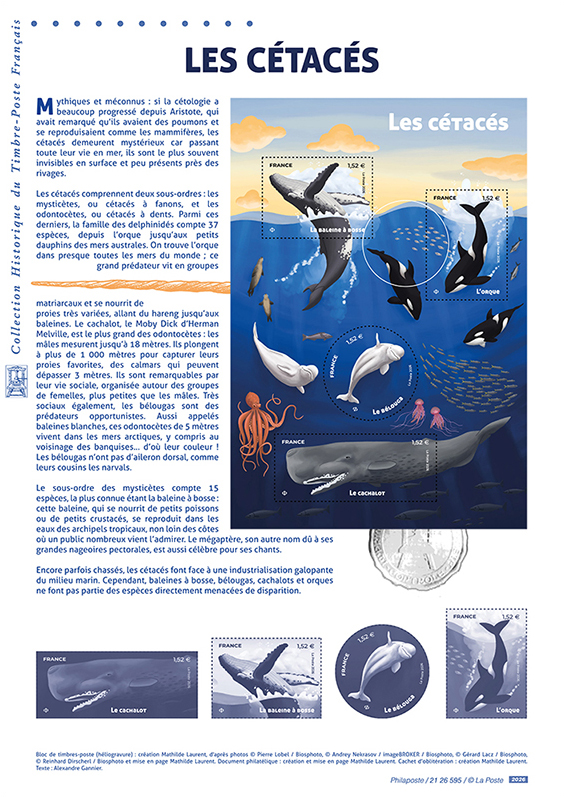 7-philatelie_document-philatelique-cetaces