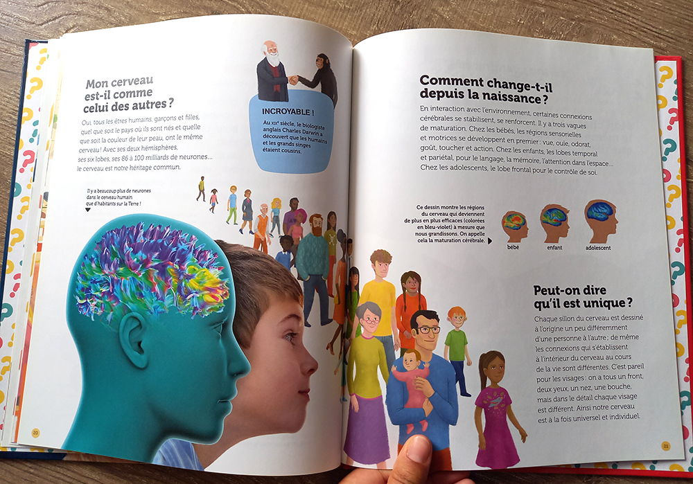 9-documentaire-livre-le_cerveau