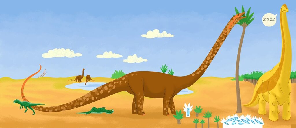 9-livre-dinosaures-long-cou
