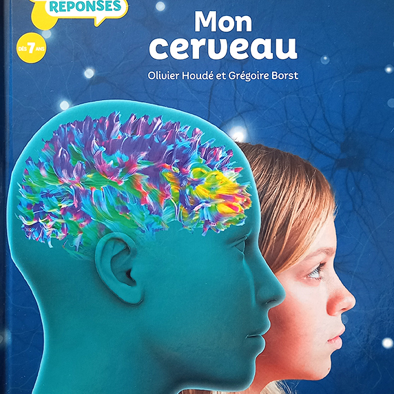 Cerveau