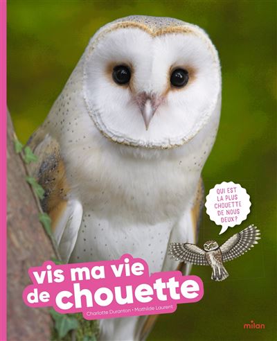 actu_Vis-ma-vie-de-chouette
